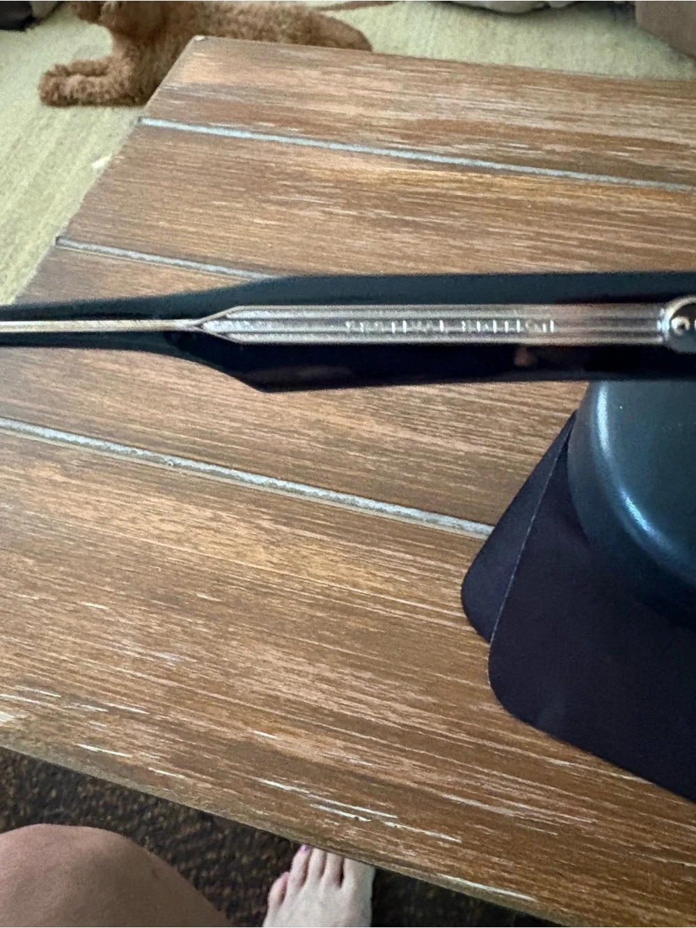 Carrera bold black